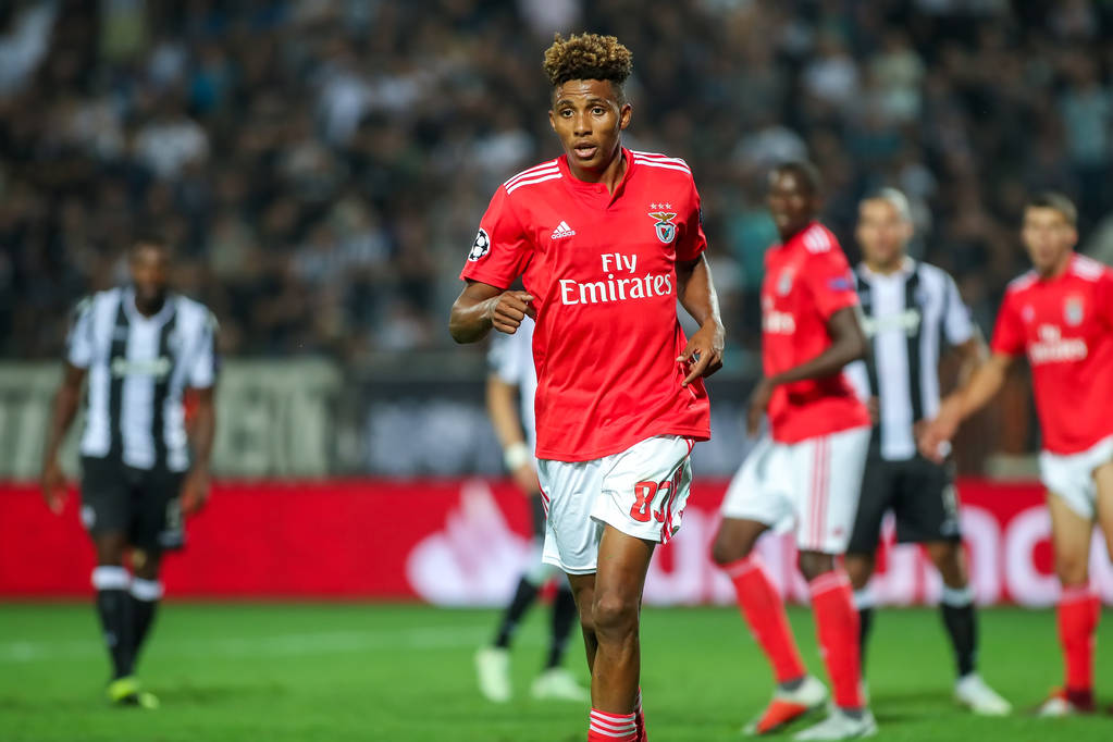 关于足总杯倒计时，本菲卡今晚刷新队史纪录，细节引发关注，媒体盛赞，球探报告显示潜力的信息-一竞技娱乐平台